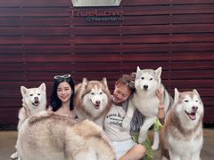 -TrueLove @ Neverland (Husky Cafe)