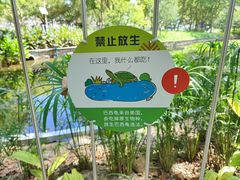 -和平公园
