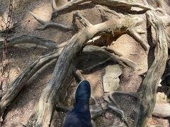 -井冈山风景名胜区-黄洋界