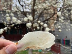 -护国法轮寺