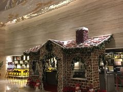 -新加坡乌节希尔顿酒店 (SG Clean)