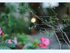 -行人小筑·茶馆(岑村火炉山分店)