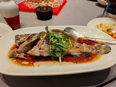 清蒸老虎斑-徐记海鲜(大明宫|北二环店)