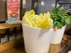 -晓宇重庆火锅(赛格国际购物中心店)