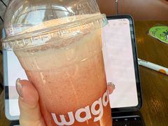 -Wagas沃歌斯(富力广场店)