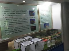 -上海昆虫博物馆