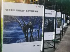 -西安电影制片厂