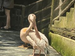 -海南槟榔谷黎苗文化旅游区