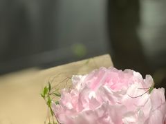 -台北101