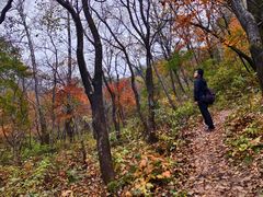 -玉渡山自然风景区