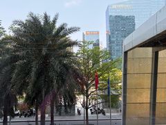 -大中华希尔顿酒店-念自助餐·海南美食·三文鱼