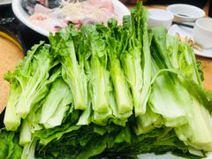 -新合益乡村农庄