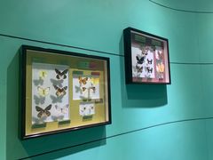 -上海昆虫博物馆