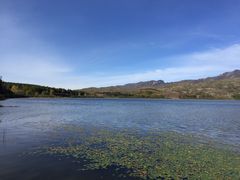 -芦芽山旅游度假区