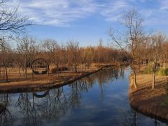 -溱湖国家湿地公园