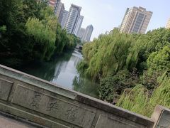 -浙江大学医学院附属第二医院-地面停车场