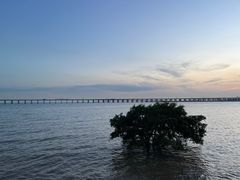 -宝安西湾红树林湿地公园