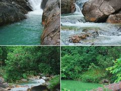 -广州白江湖森林公园
