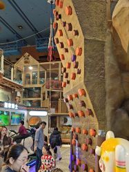 -卡通尼·Safari非洲探索乐园·生日会(金桥国际商业广场店)