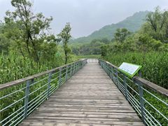 -西湖风景区-江洋畈生态公园