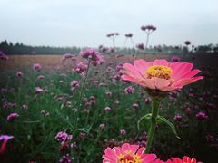 -漩门湾国家湿地公园