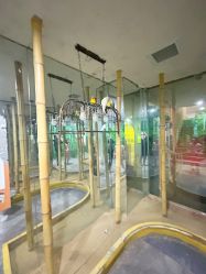 -神奇动物撸宠馆·羊驼·小浣熊·异宠(豫园店)