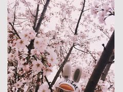 -西北湖绿化广场