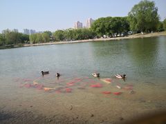 -太阳宫公园