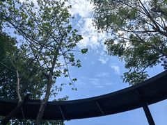 -人和水上飘(第一家店)