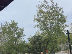 -宝荣鱼馆·临湖之宴(千岛湖店)