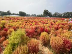 -汉长安城未央宫国家考古遗址公园