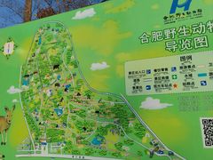 -合肥野生动物园