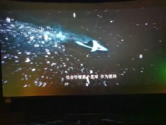 -星轶IMAX影城(九亭U天地旗舰店)