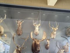 -陕西自然博物馆