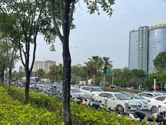 -宝安西湾红树林湿地公园