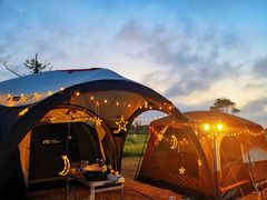 -春花秋色城市公园