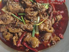 -成老灶火锅鸡(平山店)