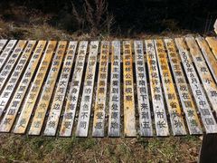 景点-五营红松林海景区