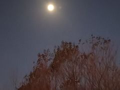-秦皇岛阿尔卡迪亚滨海度假酒店