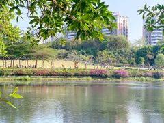 -深圳龙潭公园