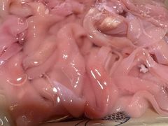 鹅肠-九尺赵老四鲜鹅肠火锅