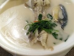 -肆月河豚·新淮扬(金融街店)