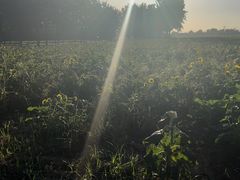 -汉长安城未央宫国家考古遗址公园