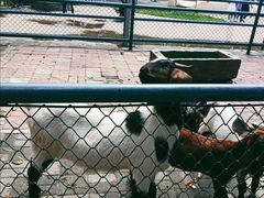 -长白岛森林公园