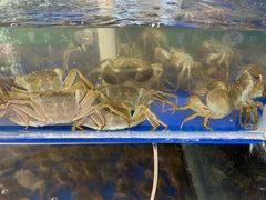 -阳澄湖大闸蟹·琼灵阁牌品牌连锁(吴中总店)