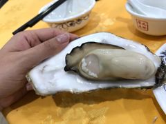 生蚝-蚝专家(北滘店)