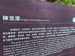 -牛背梁国家森林公园