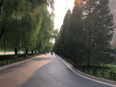 -堤角公园