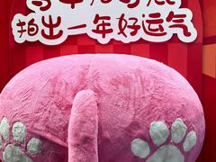 -坂田天虹