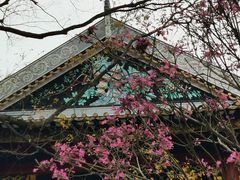 -顺峰山公园